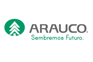 arauco